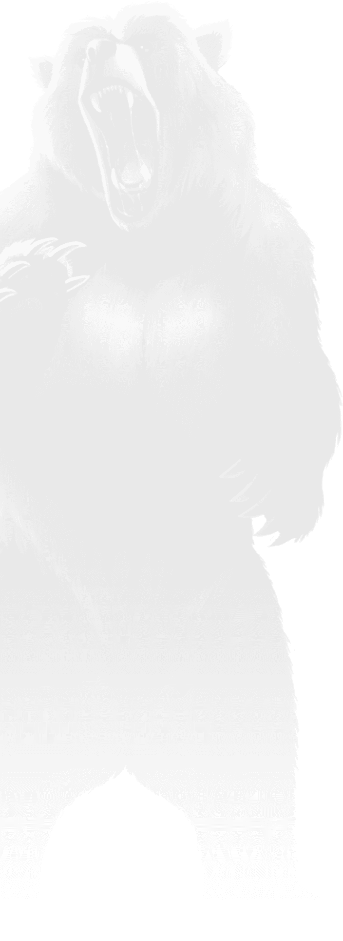 BetSoft Wilds of Fortune Screenshot