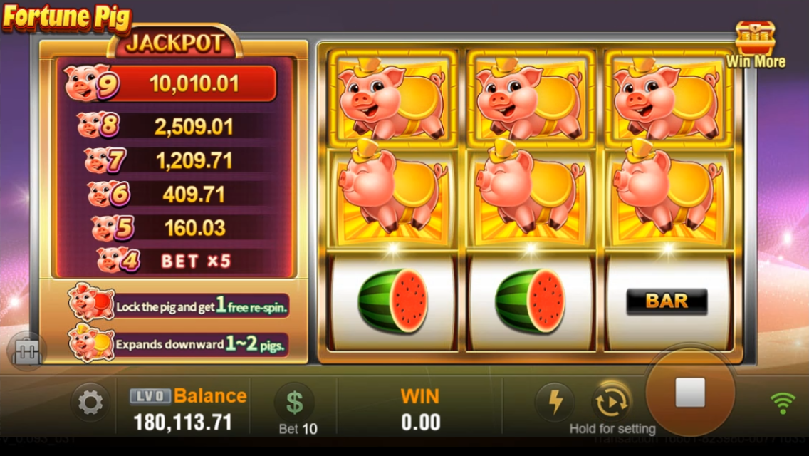 Fortune Pig Screenshot