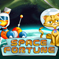 Space Fortune