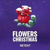 Flowers Christmas