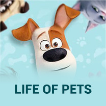 Life Of Pets